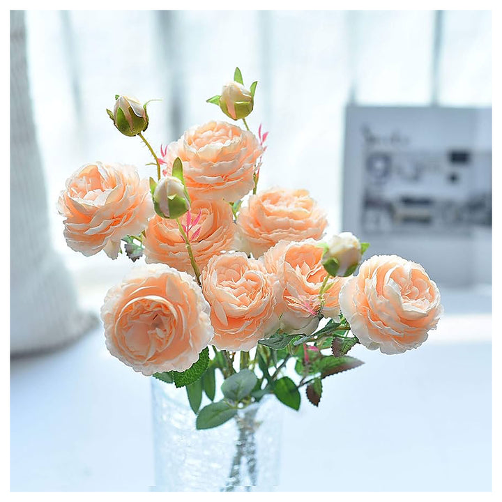 Cabbage Rose Rosa Species For Planting In Flower Bed Flower Seeds for Home Garden Planting, Exotic | Neera Seeds product photo [neera-v4-409215addba66641868f]