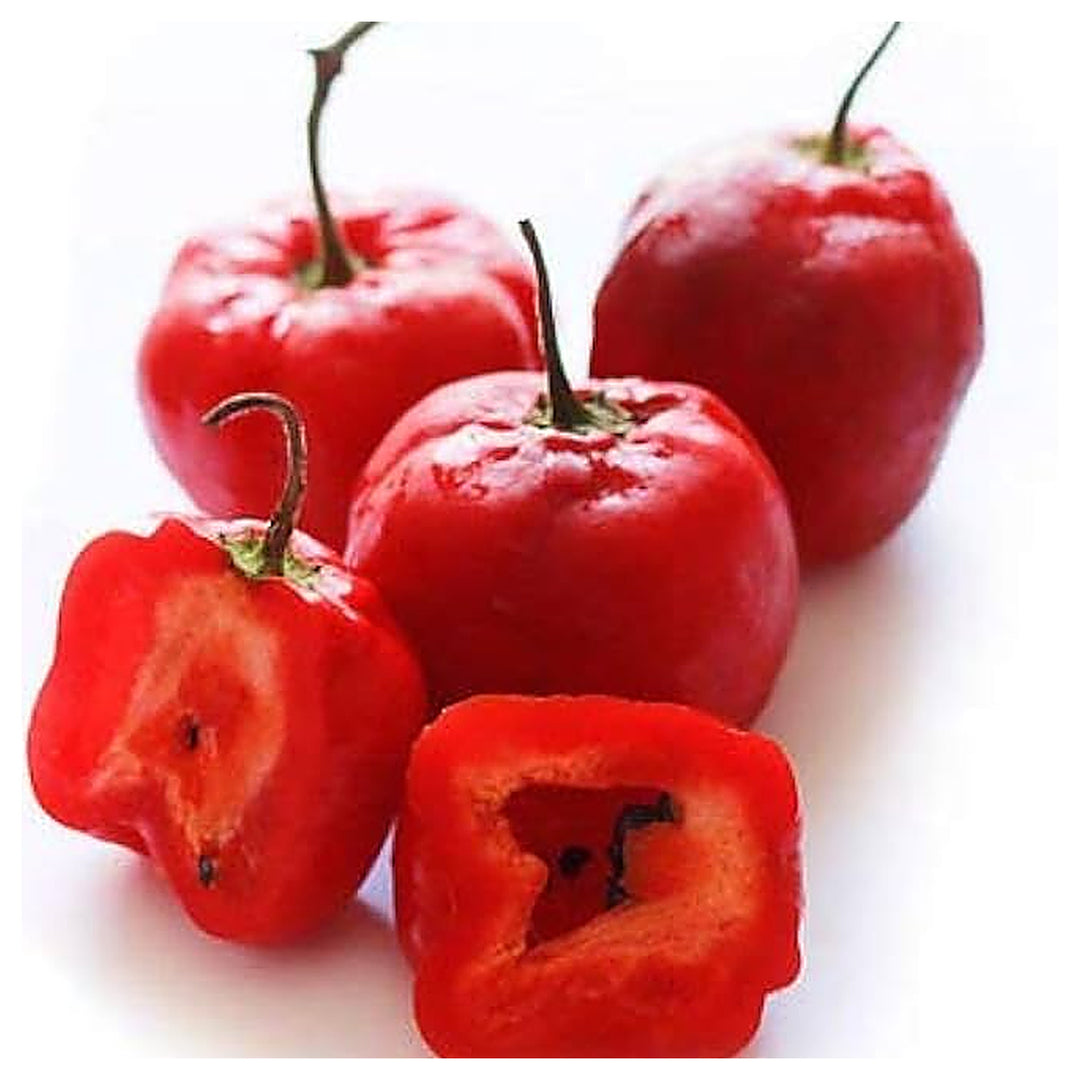 Red Rocoto Aji Locoto Capsicum Pubescens Hot Chili Pepper Seeds for Planting - heirloom & Non-GMO Garden Seeds | Neera Seeds product photo [neera-v4-410a16cc9b2322281683]