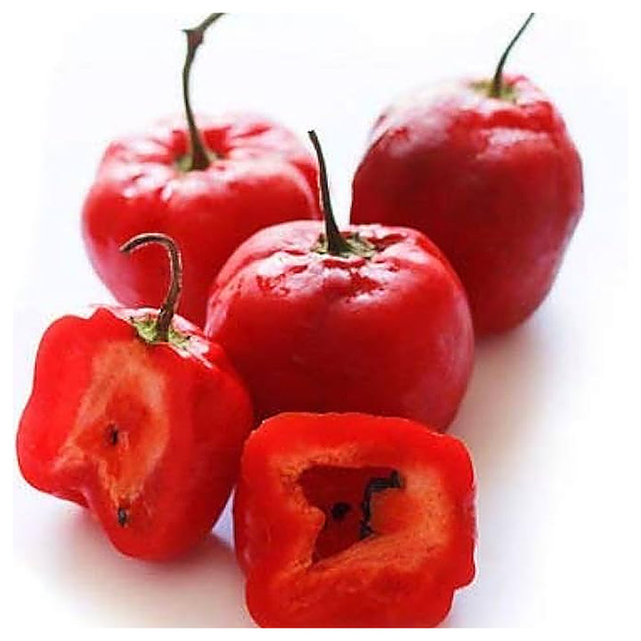 Red Rocoto Aji Locoto Capsicum Pubescens Hot Chili Pepper Seeds for Planting - heirloom &amp; Non-GMO Garden Seeds | Neera Seeds product photo [neera-v4-410a16cc9b2322281683]
