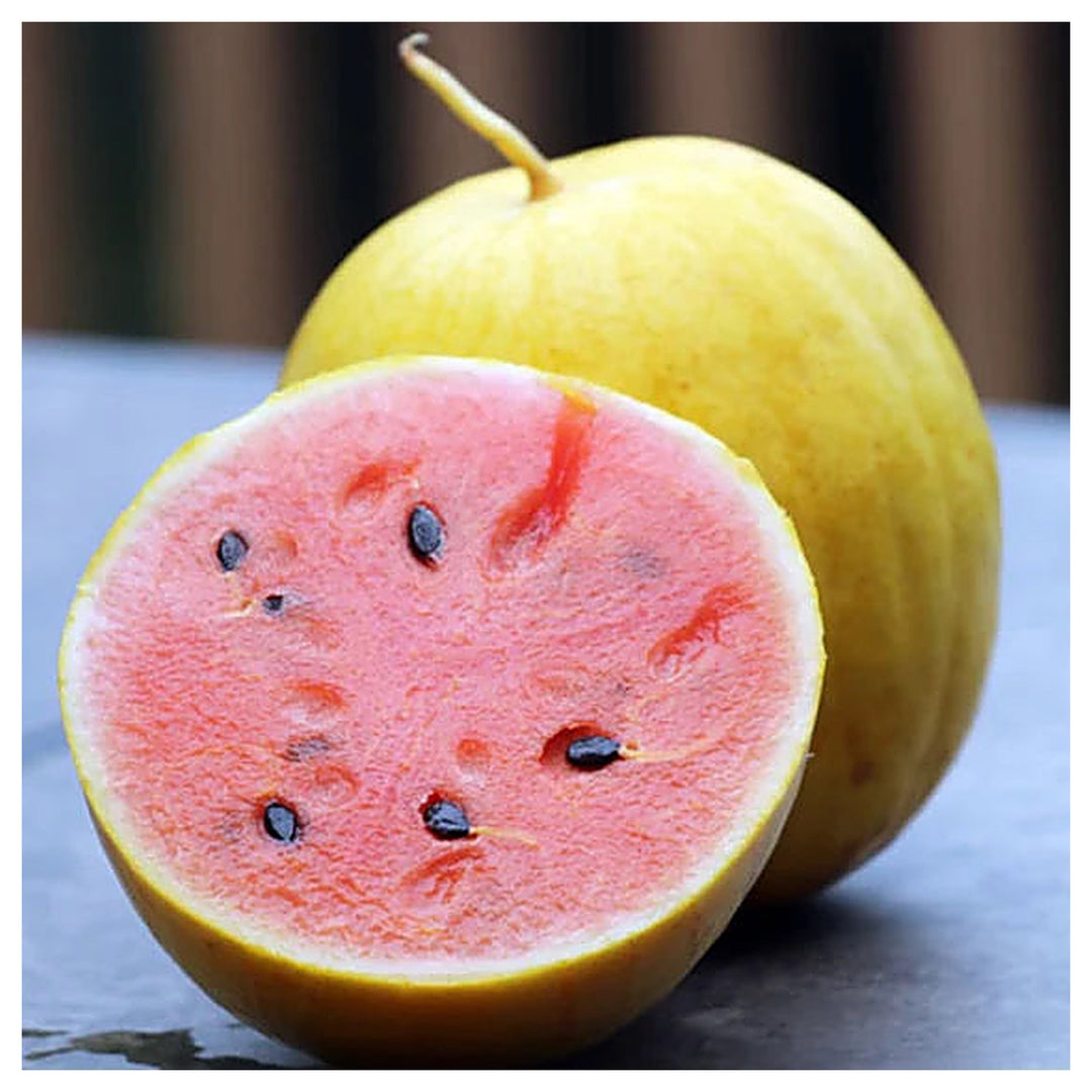 Moon and Stars Watermelon Fruit Seeds for Planting – Unique, Sweet & Refreshing, Heirloom & Non-GMO Seeds | Neera Seeds product photo [neera-v4-41807d6b633559c20752]