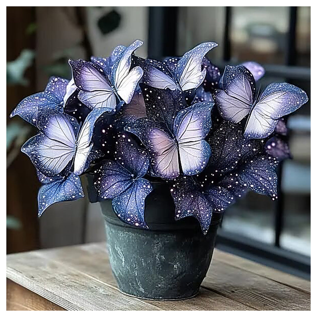 Moonlight Butterfly Begonia Flower Seeds – Heirloom Non-GMO High Germination Seeds | Neera Seeds product photo [neera-v4-42435a5b5f7e0e4c7b20]
