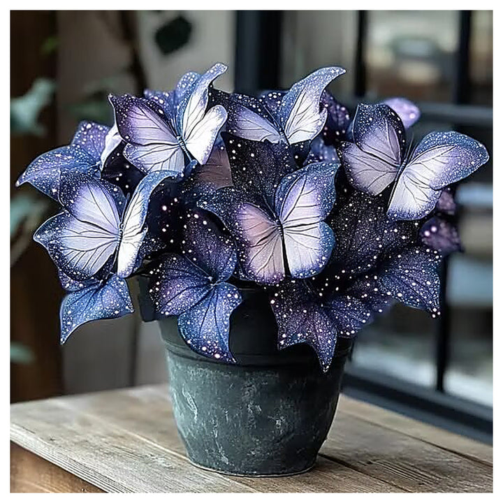 Moonlight Butterfly Begonia Flower Seeds – Heirloom Non-GMO High Germination Seeds | Neera Seeds product photo [neera-v4-42435a5b5f7e0e4c7b20]