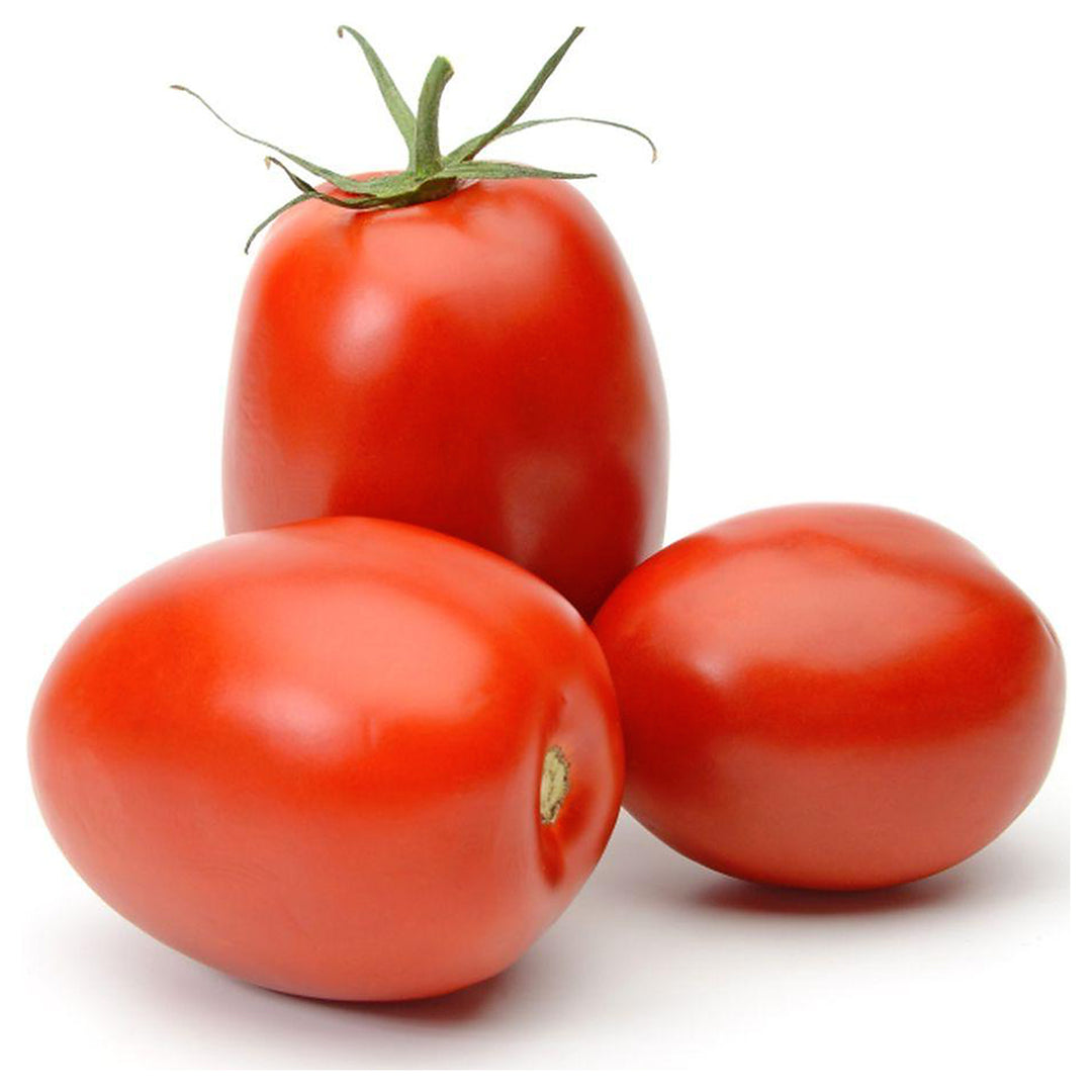 San Marzano Giant Italian Plum Tomato Seeds for Planting – Heirloom, Non-GMO, High Germination | Neera Seeds product photo [neera-v4-42501fb79f3f652bb974]