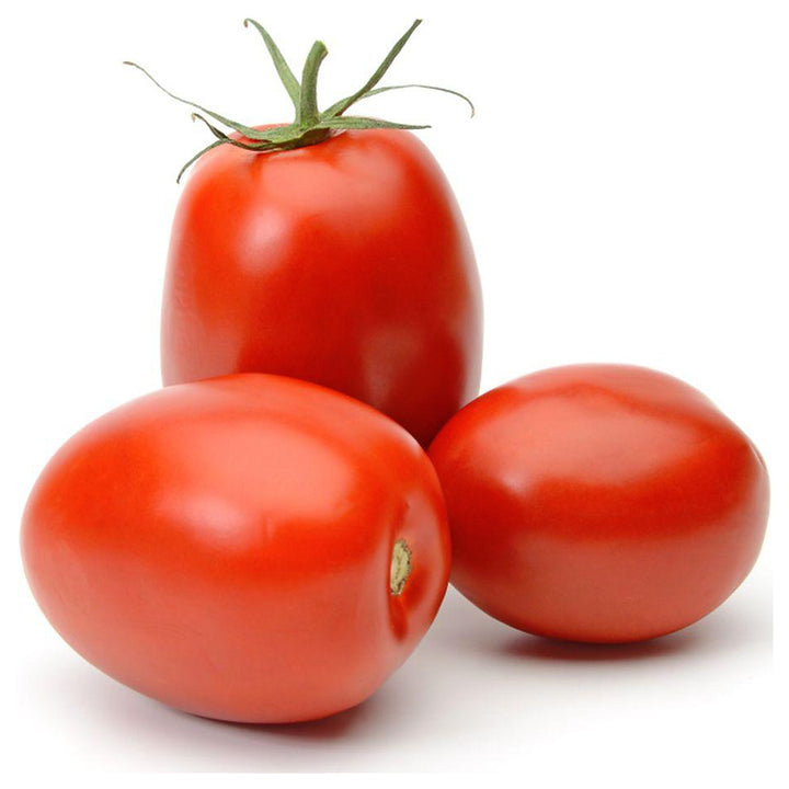 San Marzano Giant Italian Plum Tomato Seeds for Planting – Heirloom, Non-GMO, High Germination | Neera Seeds product photo [neera-v4-42501fb79f3f652bb974]