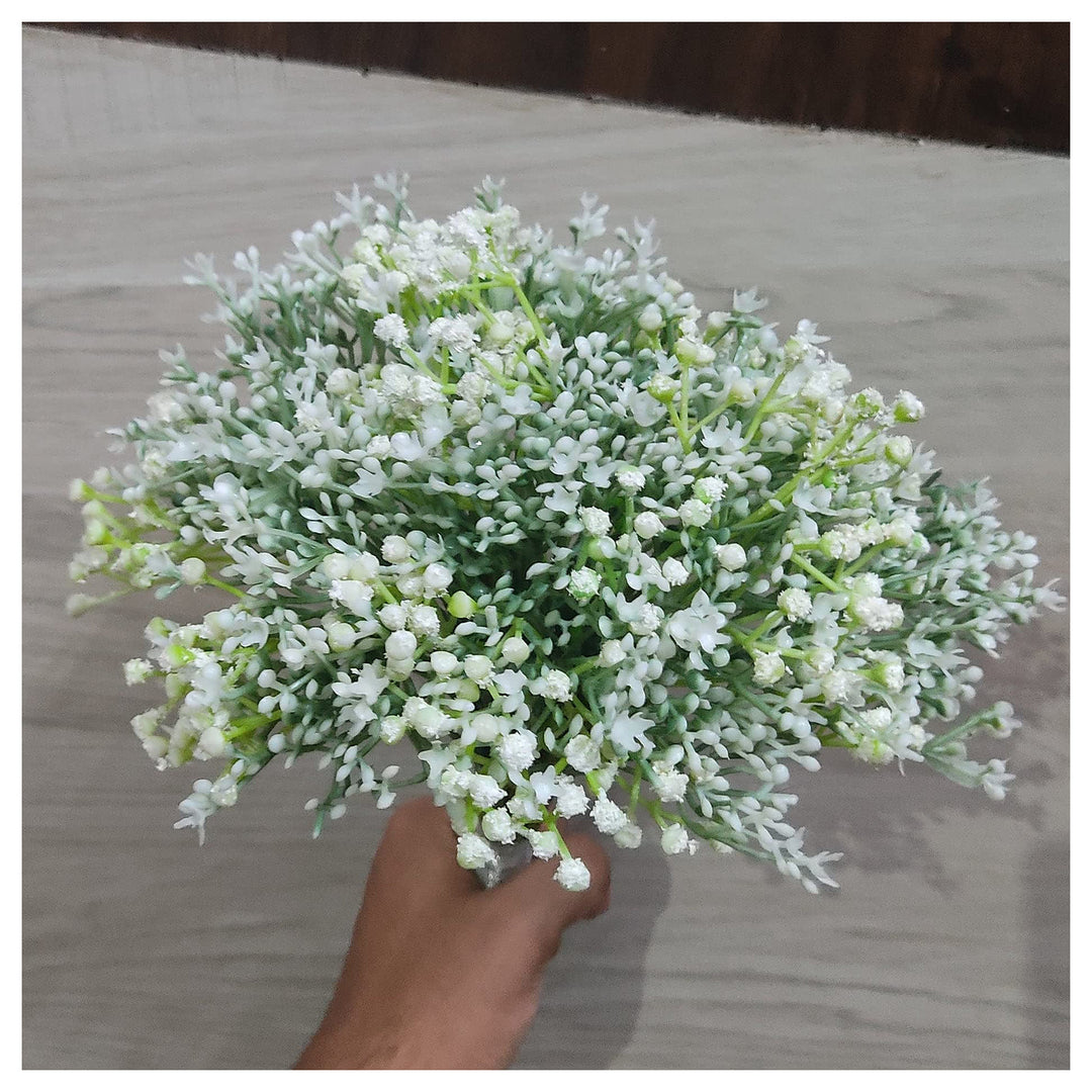 Happy Farm Gypsophila Sky Stars Hybrids Home Garden Landscaping Perennial Flowers Flower Seeds | Neera Seeds product photo [neera-v4-42637146d39459078280]