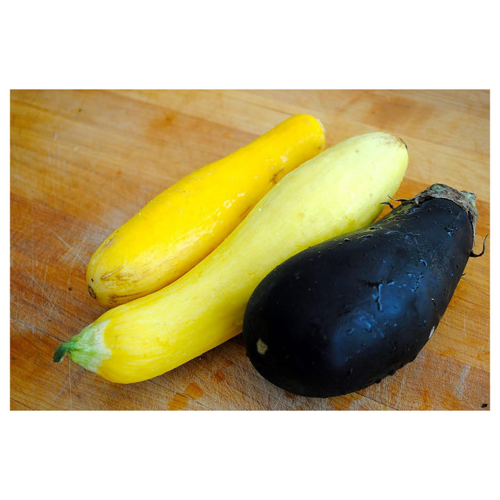 Violet and Yellow Eggplant Seeds for Planting – Heirloom, Non-GMO, High Germination Organic Garden Vegetable Seeds | Neera Seeds product photo [neera-v4-42a78564252e3ca1632c]