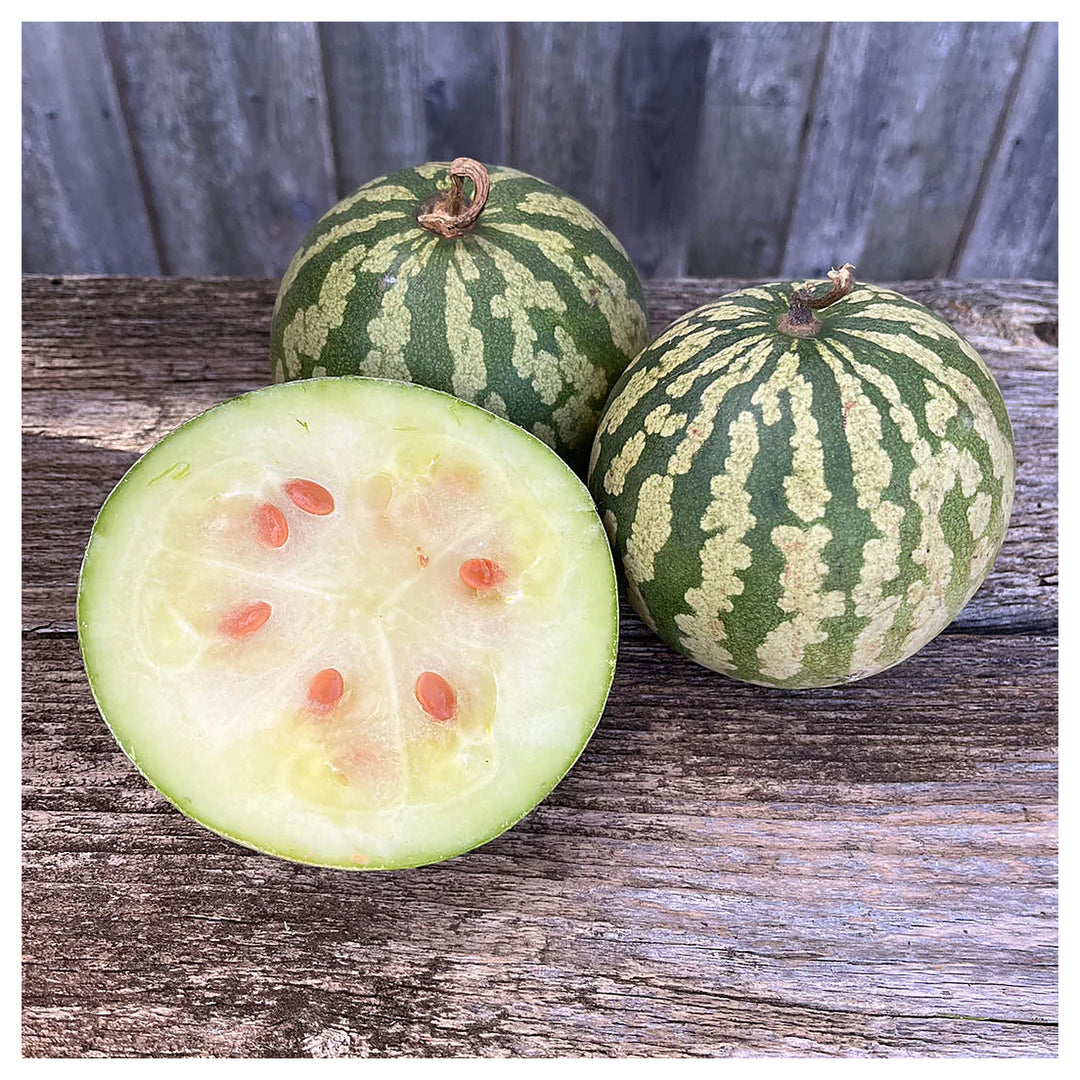 Citron Red Watermelon Seeds for Planting – Heirloom, Non-GMO, High Germination Organic Garden Seeds for Unique Shap | Neera Seeds product photo [neera-v4-45eb7b5a9c5f1c6006c6]