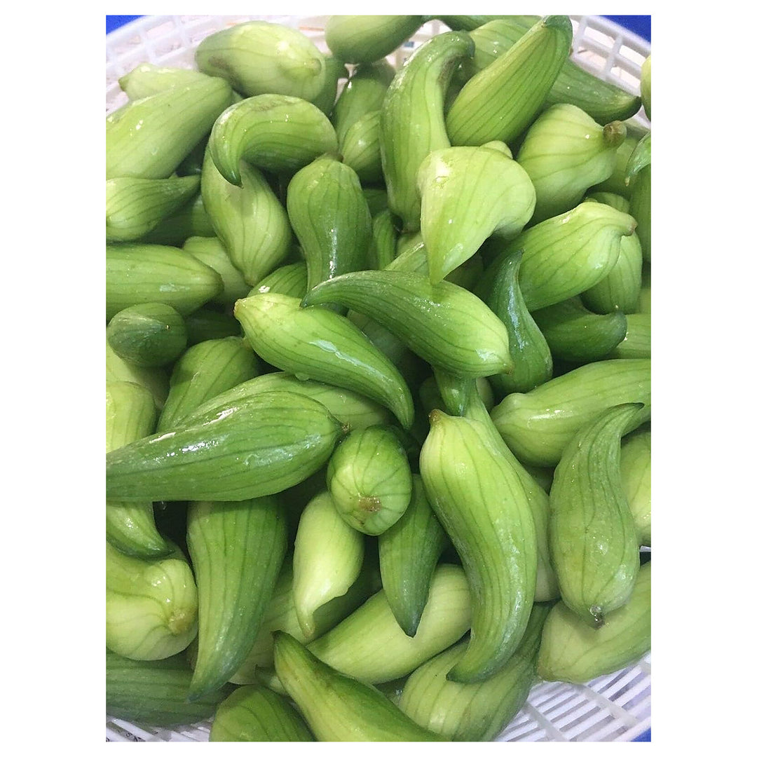 Cyclanthera Pedata Seeds for Planting – Heirloom, Non-GMO, High Germination Organic Garden Seeds for Unique Edible  | Neera Seeds product photo [neera-v4-46eb7631f802fb2471bd]