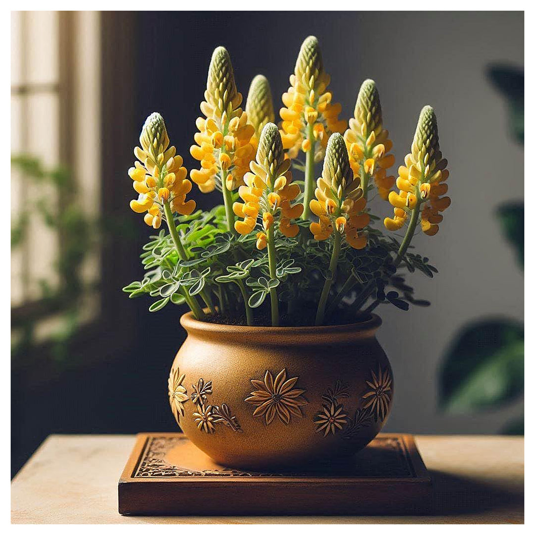Heirloom Non-GMO Yellow Bonnets Flower Seeds for Planting – Bright Wildflower Blooms for Cottage Gardens | Neera Seeds product photo [neera-v4-48846ae814f178e44c9f]