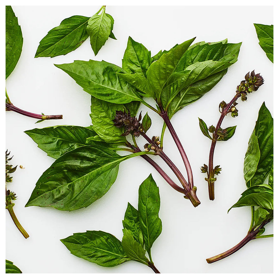 Thai Basil Herb Seeds for Planting – Heirloom, Non-GMO, High Germination Organic Garden Seeds for Culinary Use | Neera Seeds product photo [neera-v4-48a0c15a131dc2ec065a]