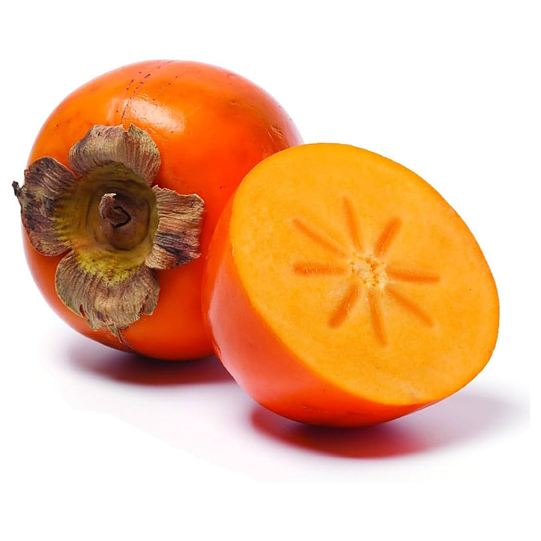 Orange Persimmon Fruit Seeds for Planting – Heirloom &amp; GMO Free Seeds for Growing Sweet Fruit Trees | Neera Seeds product photo [neera-v4-48ef9602322f10a756d1]