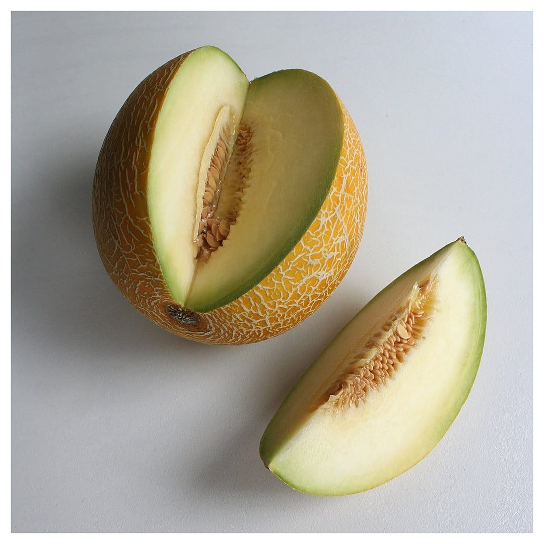 Galia Melon Seeds for Planting – Sweet Hybrid of Cantaloupe & Honeydew, Heirloom Non-GMO Garden Seeds | Neera Seeds product photo [neera-v4-499a9e883263c6ba6992]