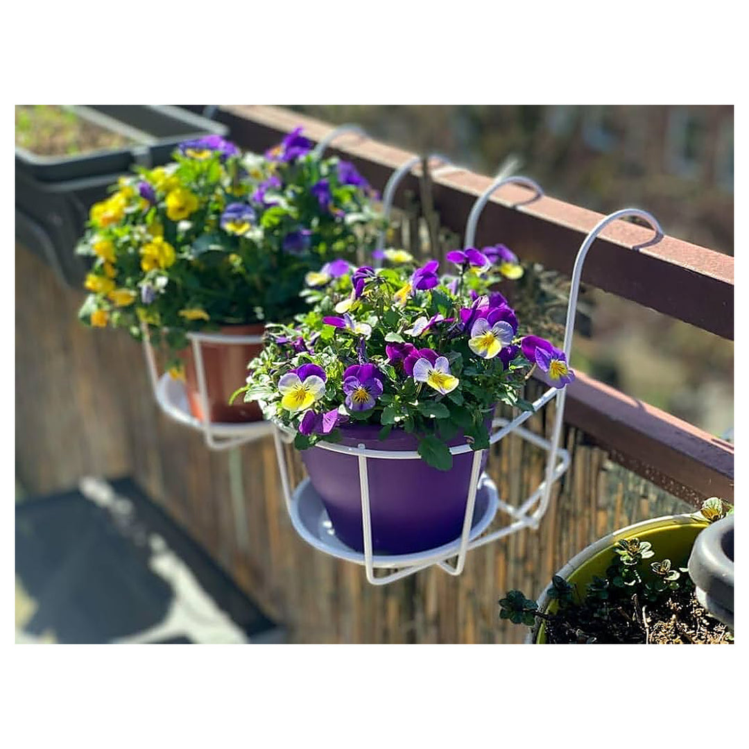 Mixed Pansy Flower Colorful Garden And Miniature Bonsai Flower Seeds Home Garden Planting, | Neera Seeds product photo [neera-v4-499cd300a8f37c87feec]