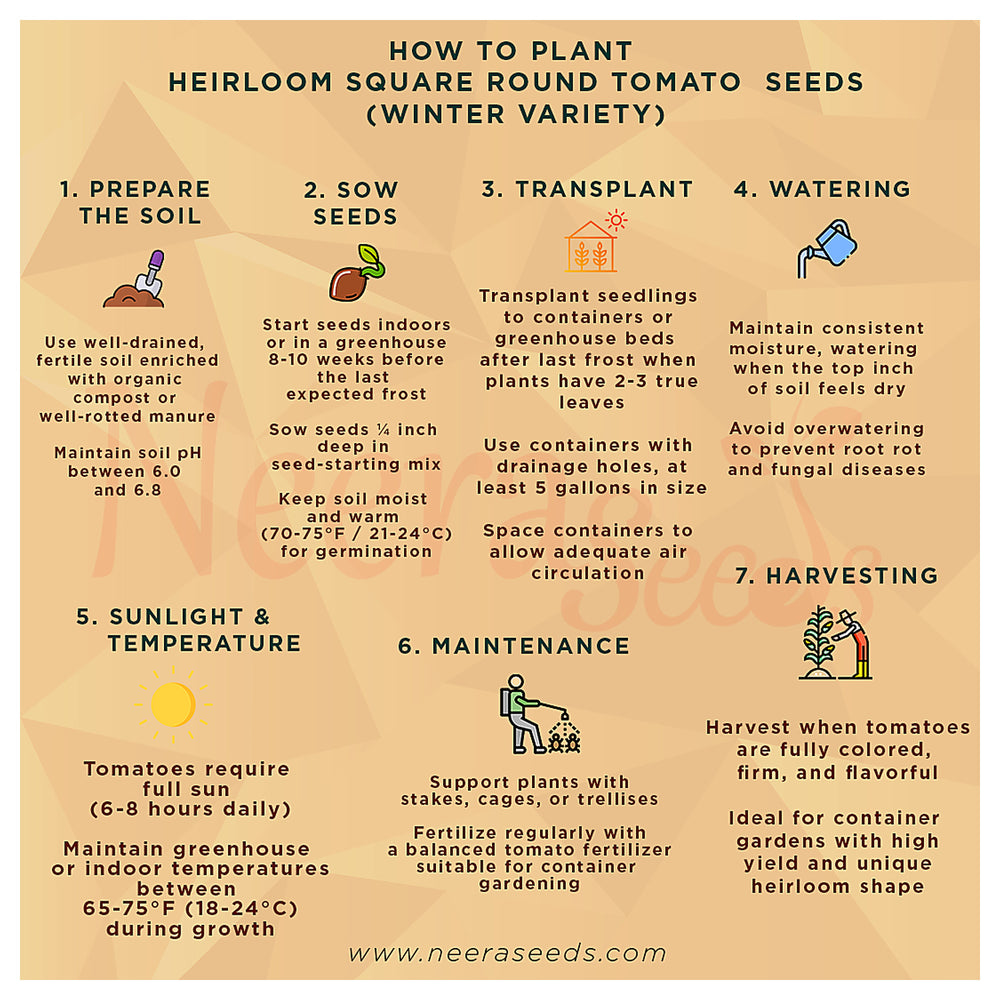 Heirloom Square Round Tomato (Winter Variety) Seeds for Planting – Non-GMO, High-Yield  Vegetable Seeds for Home Ga | Neera Seeds product photo [neera-v4-4ad692f1ab85f7e982f6]