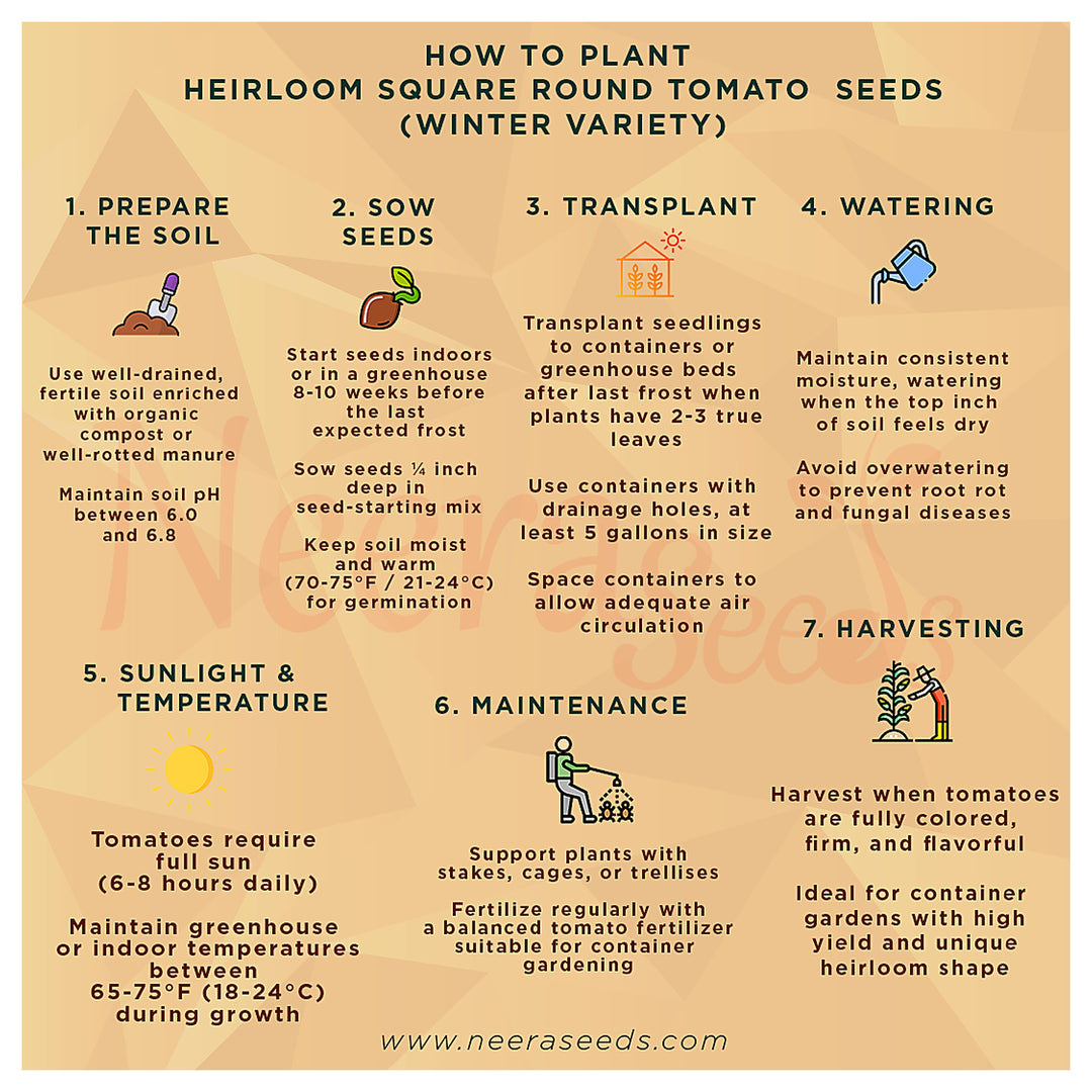 Heirloom Square Round Tomato (Winter Variety) Seeds for Planting – Non-GMO, High-Yield  Vegetable Seeds for Home Ga | Neera Seeds product photo [neera-v4-4ad692f1ab85f7e982f6]