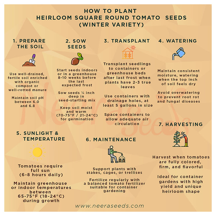 Heirloom Square Round Tomato (Winter Variety) Seeds for Planting – Non-GMO, High-Yield  Vegetable Seeds for Home Ga | Neera Seeds product photo [neera-v4-4ad692f1ab85f7e982f6]