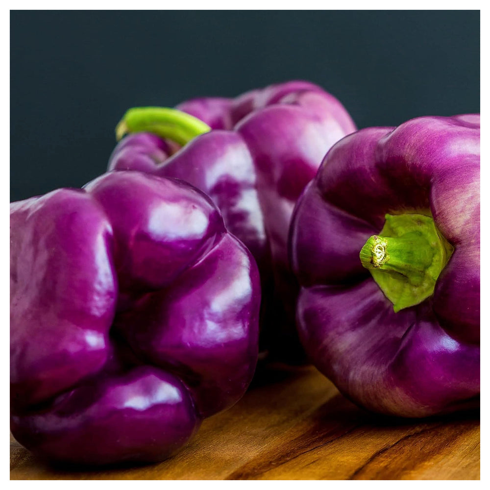 Purple Bell Pepper Vegetable Seeds for Planting - Heirloom, Non-GMO, High Germination Organic Garden Seeds | Neera Seeds product photo [neera-v4-4b2007f45a655f62069c]