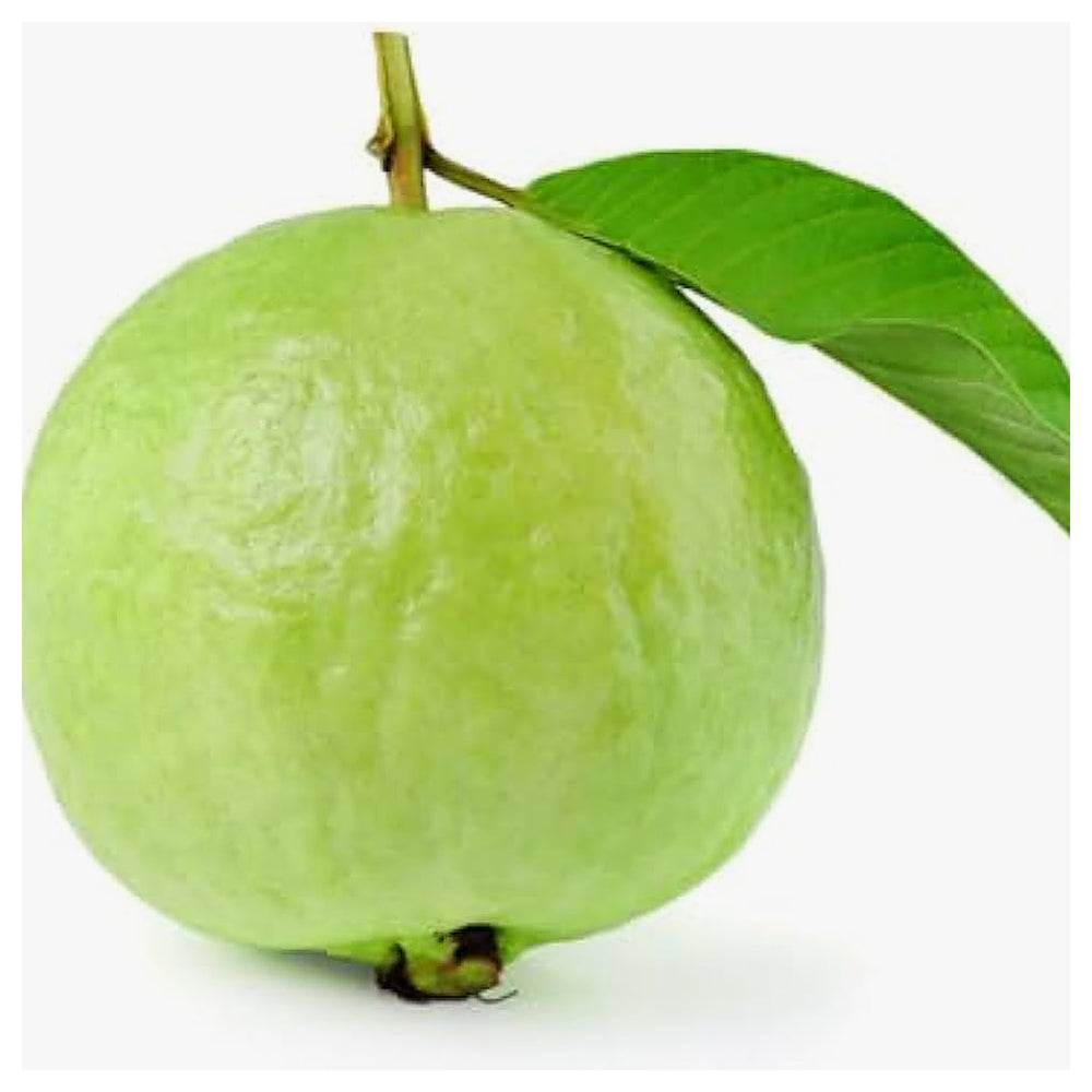 Guava Fruit Seeds for Planting - Tropical Guavas Full of Flavor, Heirloom & Non-GMO Seeds | Neera Seeds product photo [neera-v4-4b7616d15c60cd874331]