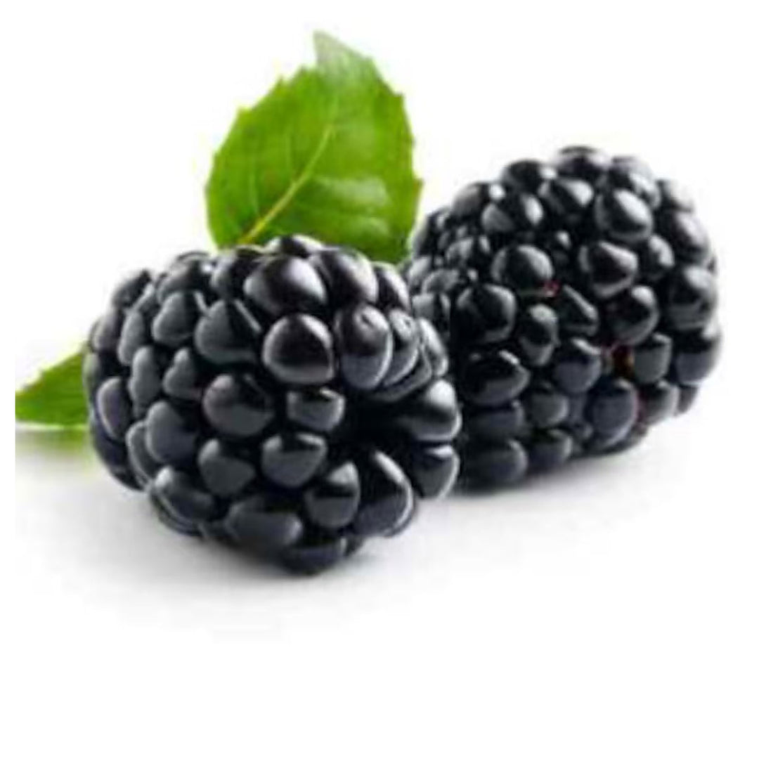 Blackberry Arapaho Seeds – Thornless, Heirloom, Non-GMO, High-Yield for Garden Planting | Neera Seeds product photo [neera-v4-4c081916e1b13a6aec0f]