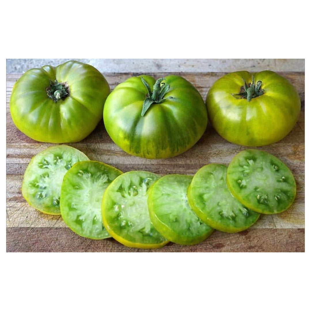 Aunt Ruby's Tomato Vegetable Seeds for Planting – Heirloom, Non-GMO, High Germination, Organic Garden Seeds | Neera Seeds product photo [neera-v4-5185c7d3d36f7b89241c]