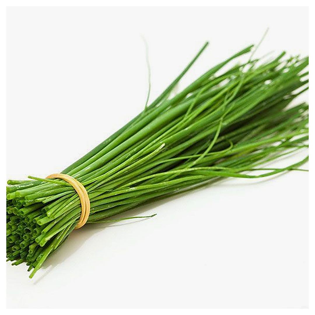 Chives Common Seeds for Planting – Heirloom, Non-GMO, Fast-Growing Herb | Neera Seeds product photo [neera-v4-553330c55e83f82e2e75]