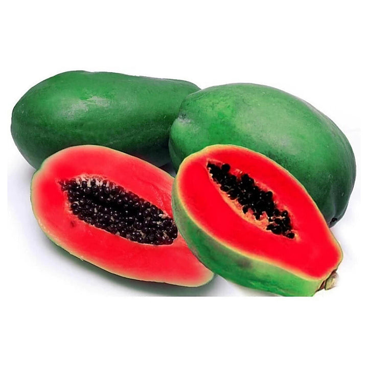 Red Caribbean Papaya Fruit Seeds for Planting – Grow Sweet, Tropical Red Papayas in Your Backyard, Heirloom &amp; Non-G | Neera Seeds product photo [neera-v4-5867d020939d8ee6c505]