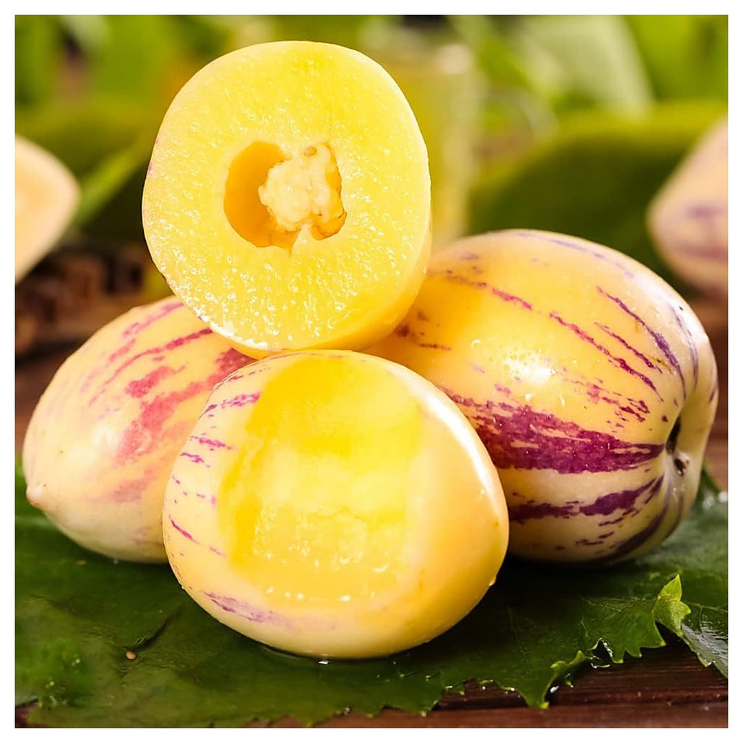 Sugar Gold Pepino Melon Fruit Seeds for Planting – Heirloom Non-GMO High Germination Organic Garden Seeds | Neera Seeds product photo [neera-v4-58750147d5389de51d39]