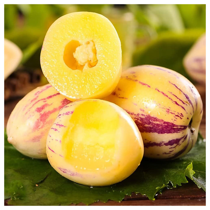 Sugar Gold Pepino Melon Fruit Seeds for Planting – Heirloom Non-GMO High Germination Organic Garden Seeds | Neera Seeds product photo [neera-v4-58750147d5389de51d39]