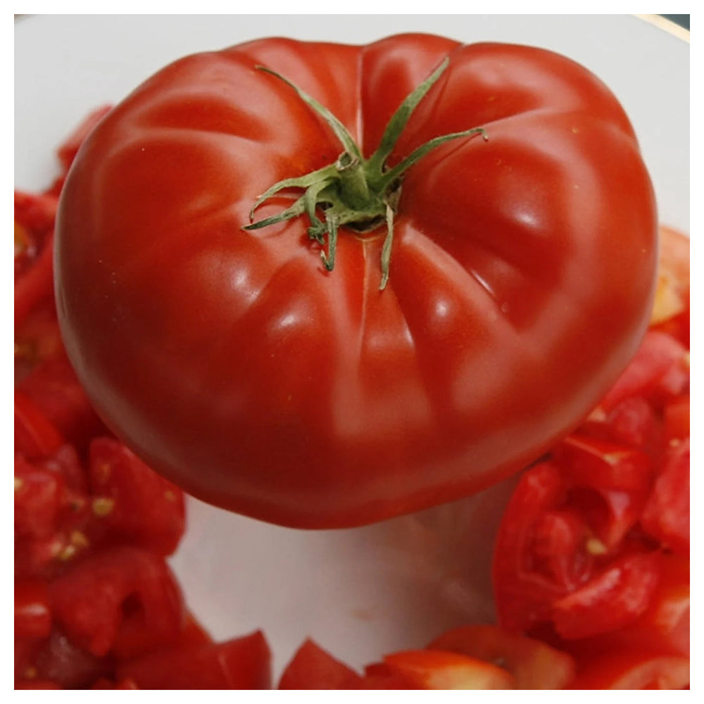 Red Giant Tomato Seeds for Planting – Heirloom, Non-GMO, High Germination Organic Garden Seeds | Neera Seeds product photo [neera-v4-588bfb2bf81ec5b4223e]