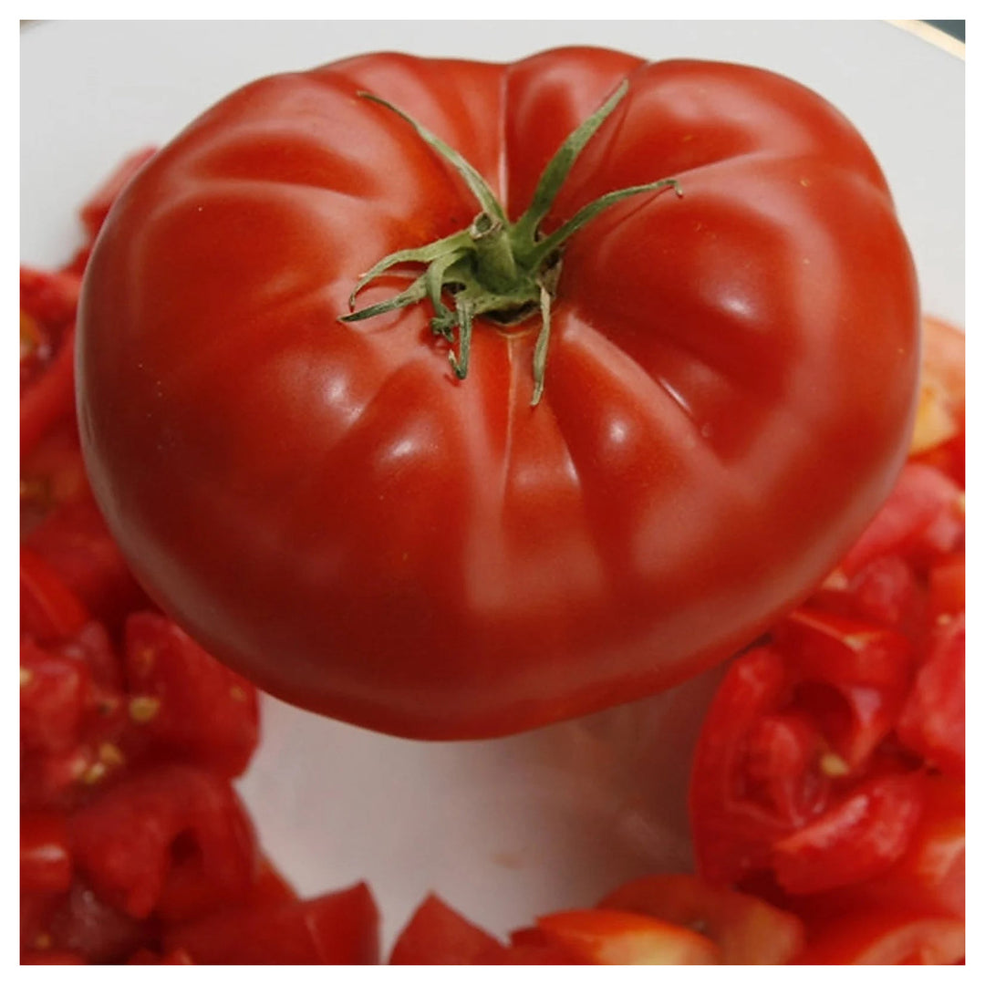 Red Giant Tomato Seeds for Planting – Heirloom, Non-GMO, High Germination Organic Garden Seeds | Neera Seeds product photo [neera-v4-588bfb2bf81ec5b4223e]
