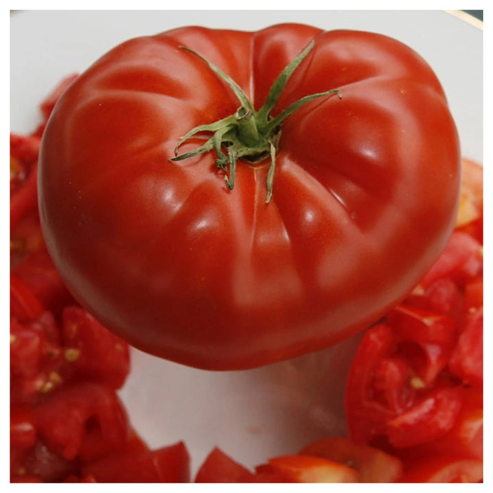 Red Giant Tomato Seeds for Planting – Heirloom, Non-GMO, High Germination Organic Garden Seeds | Neera Seeds product photo [neera-v4-588bfb2bf81ec5b4223e]