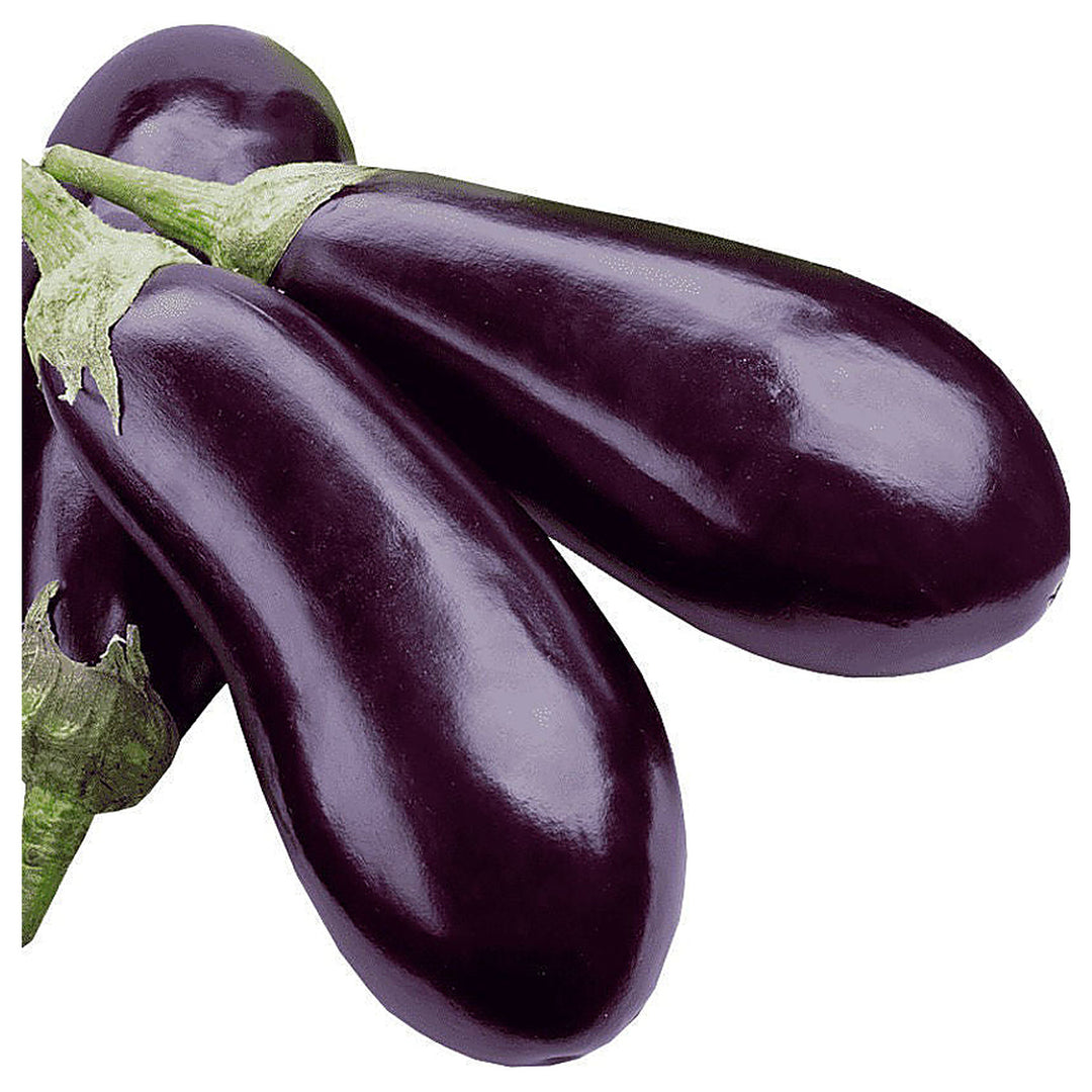Organic Eggplantor Aubergine Zora Seeds for Planting – Heirloom, Non-GMO, High Germination Vegetable Seeds | Neera Seeds product photo [neera-v4-5f31ced6c10da059bcba]