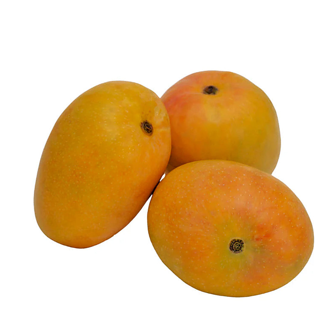 Alphonso Mango Fruit Seeds – Heirloom Hapus Variety, Non-GMO, High Germination Seeds for Planting | Neera Seeds product photo [neera-v4-6009a056c4245d8cf0b7]