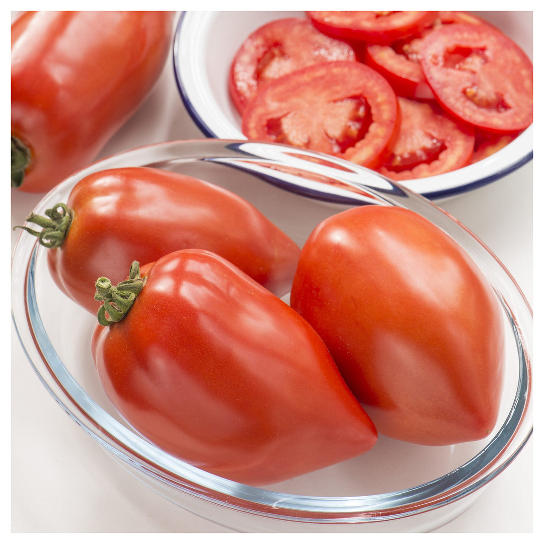 Big Mama F1 Tomato Seeds for Planting – Heirloom, Non-GMO, High Germination Organic Garden Seeds | Neera Seeds product photo [neera-v4-61aa9ad24b7a92cfea90]