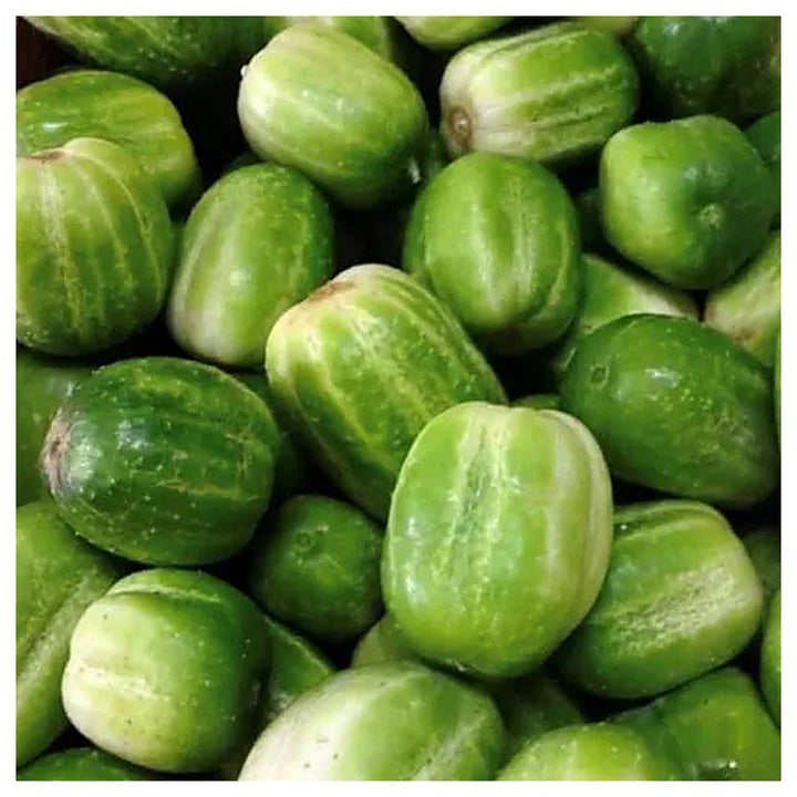 Richmond Green Cucumber Vegetable Seeds for Planting – Heirloom, Non-GMO, Crisp &amp; Productive Garden Seeds | Neera Seeds product photo [neera-v4-61e9a898fa1488df1941]