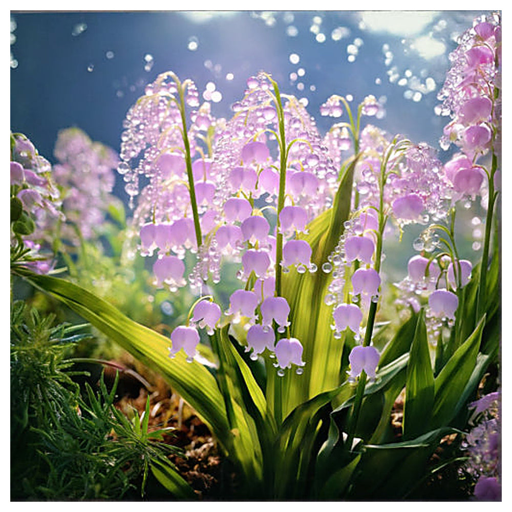 Purple Lily of the Valley Flower Seeds for Planting – Heirloom, Non-GMO, Fragrant Blooms, High Germination Garden S | Neera Seeds product photo [neera-v4-6217831cb3c96aa96c6f]