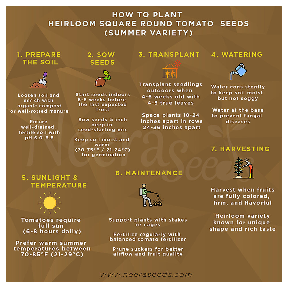 Heirloom Square Round Tomato (Summer Variety) Seeds for Planting – High-Yield Vegetable Seeds, Heirloom & Non-GMO V | Neera Seeds product photo [neera-v4-6295d692a695861c4d7d]