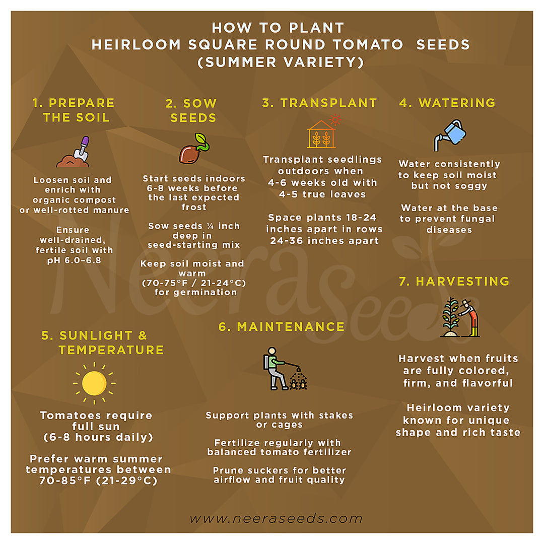 Heirloom Square Round Tomato (Summer Variety) Seeds for Planting – High-Yield Vegetable Seeds, Heirloom & Non-GMO V | Neera Seeds product photo [neera-v4-6295d692a695861c4d7d]