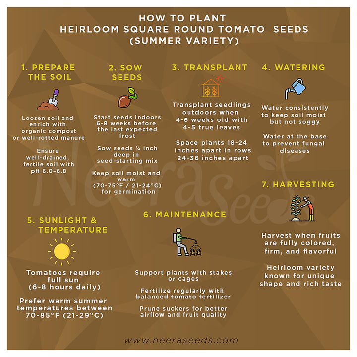 Heirloom Square Round Tomato (Summer Variety) Seeds for Planting – High-Yield Vegetable Seeds, Heirloom &amp; Non-GMO V | Neera Seeds product photo [neera-v4-6295d692a695861c4d7d]