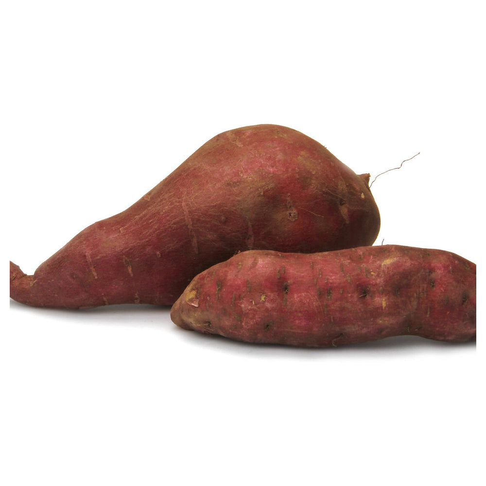 Japanese Sweet Potato Seeds for Planting - Pink Variety, Heirloom, Non-GMO, Organic Garden Seeds, High Germination | Neera Seeds product photo [neera-v4-62efb0d889b53bfbb042]