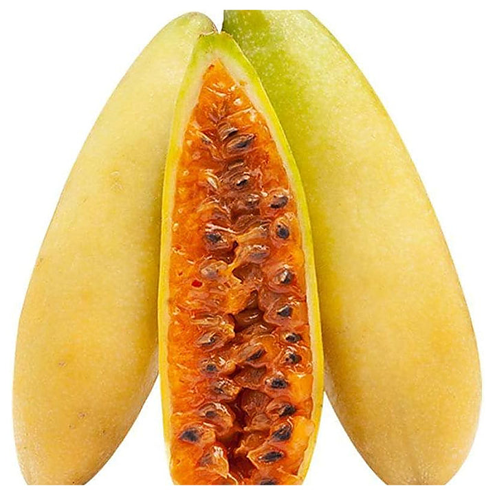Banana Passion Fruit Seeds for Planting – High-Quality, Non-GMO, Heirloom, Sweet &amp; Tropical Fruits | Neera Seeds product photo [neera-v4-636589721002c8fd7962]