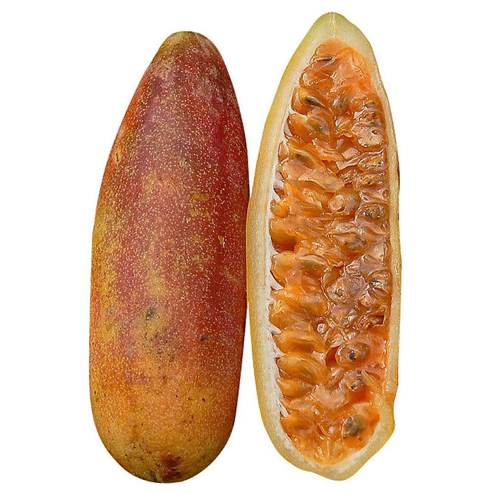 Orange Banana Passion Fruit Seeds for Planting – Sweet, Tangy Tropical Fruits, Heirloom &amp; Non-GMO Seeds for Home Ga | Neera Seeds product photo [neera-v4-6540a6f12cf9fe224413]