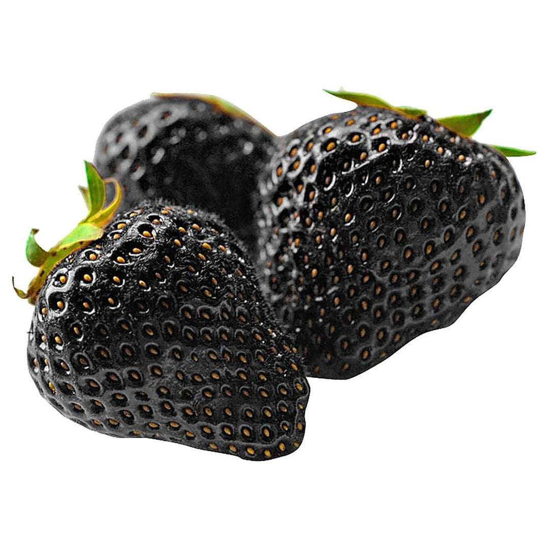 Black Strawberry Fruit Seeds for Planting – Sweet, Juicy Berries for Gardens, Heirloom &amp; Non-GMO, High Germination | Neera Seeds product photo [neera-v4-659b6425820ae2fd7995]