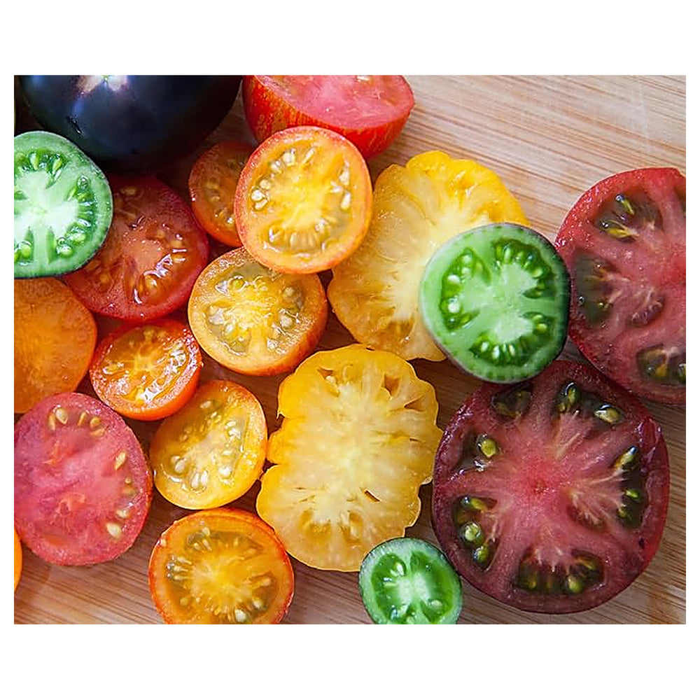 Heirloom Rainbow Beefsteak Tomato Seeds for Planting – Non-GMO, High Germination Organic Garden Seeds | Neera Seeds product photo [neera-v4-65aaef61641f418c77f8]