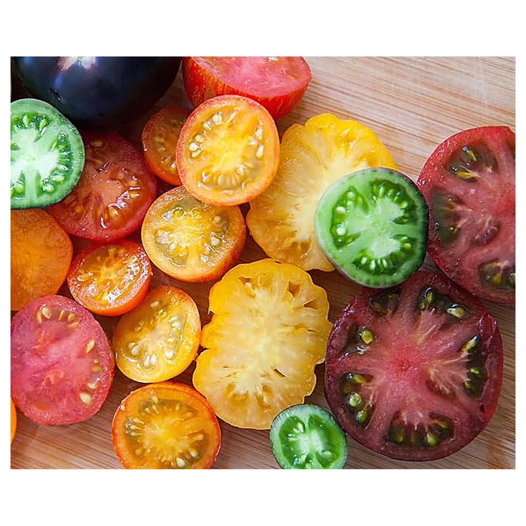 Heirloom Rainbow Beefsteak Tomato Seeds for Planting – Non-GMO, High Germination Organic Garden Seeds | Neera Seeds product photo [neera-v4-65aaef61641f418c77f8]