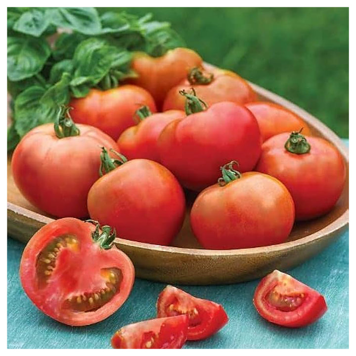 Moonglow Tomato Solanum Lycopersicum Vegetable For Planting In Vegetable Patch Flower Seeds for | Neera Seeds product photo [neera-v4-65f10ee6c31b7e6f0ccb]