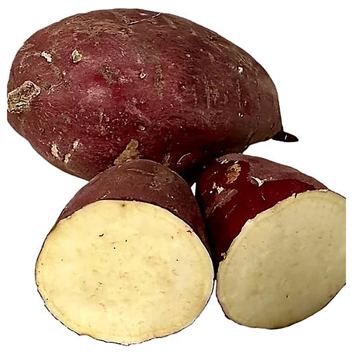 Japanese Sweet Potato Seeds for Planting - Pink Variety, Heirloom, Non-GMO, Organic Garden Seeds, High Germination | Neera Seeds product photo [neera-v4-661e0cb75f9c3dea886b]