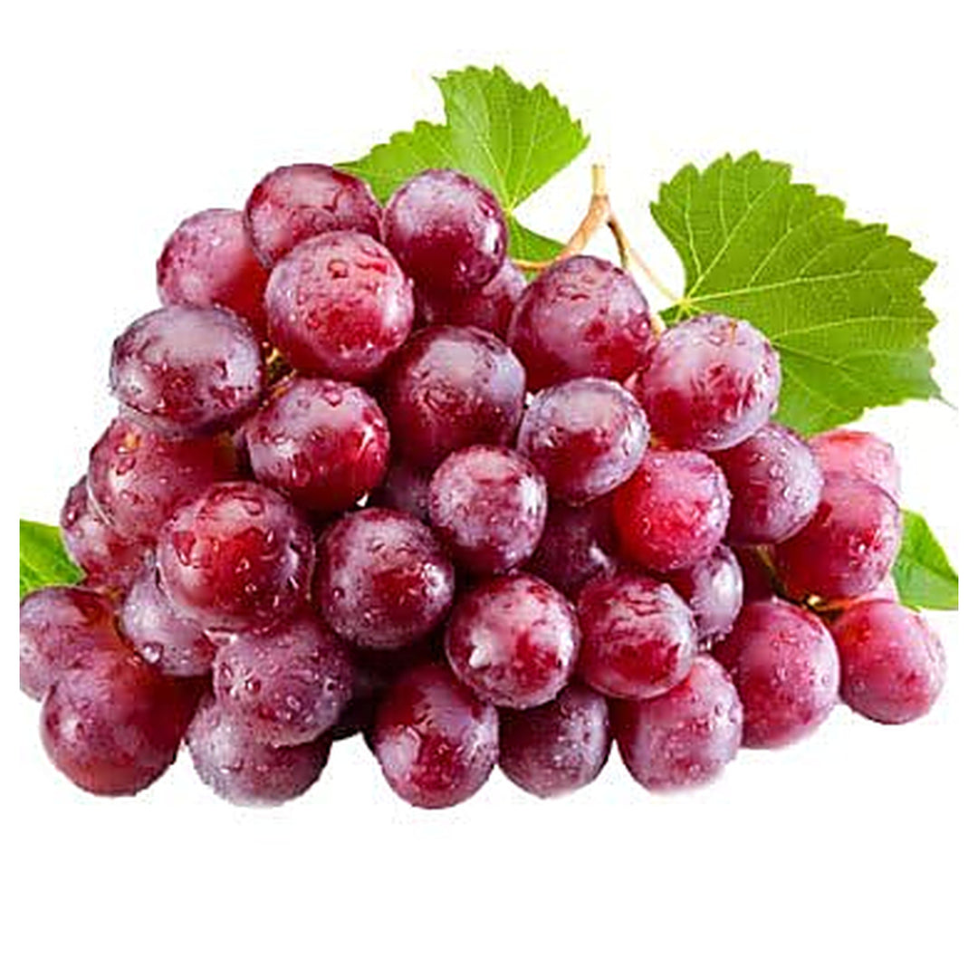 Grape Fruit Seeds for Planting – Grow Various Grape Varieties, Heirloom & Non-GMO, High Germination Seeds | Neera Seeds product photo [neera-v4-67a486eb5060880d1fbf]