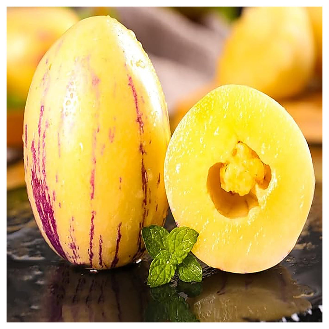 Sugar Gold Pepino Melon Fruit Seeds for Planting – Heirloom Non-GMO High Germination Organic Garden Seeds | Neera Seeds product photo [neera-v4-6d6511af59ac46c572f5]