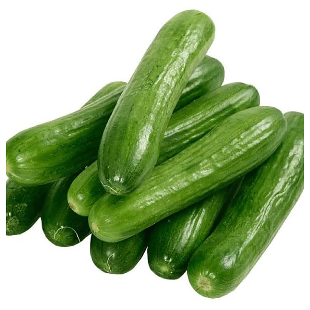 Arola Organic Cucumber Seeds for Planting – Heirloom, Non-GMO, High Germination Vegetable Garden Seeds | Neera Seeds product photo [neera-v4-6e9585b658a0e254a727]